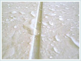 Tile Cleaning Services Livermore, CA